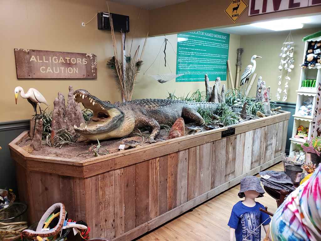 Gator display