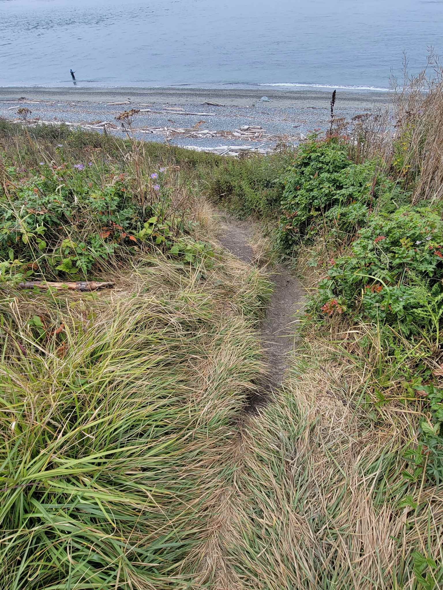 trail to the Sound