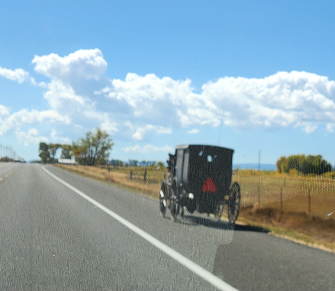 horse and buggy near CO/NM border